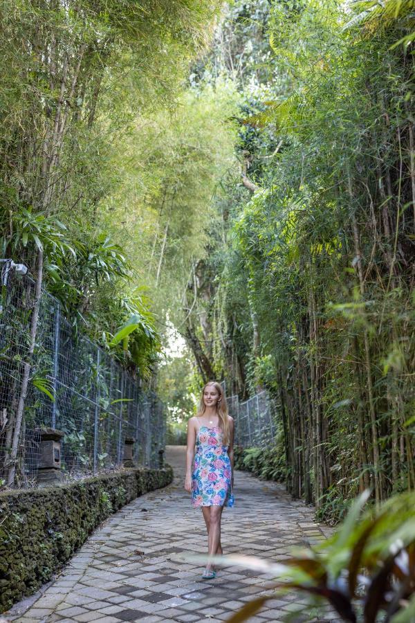 The Allure Ubud Villas エクステリア 写真